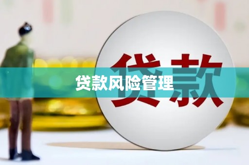 鼎城贷款风险管理