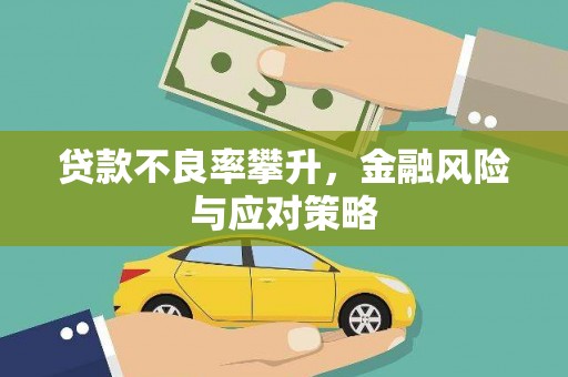 鼎城贷款不良率攀升，金融风险与应对策略