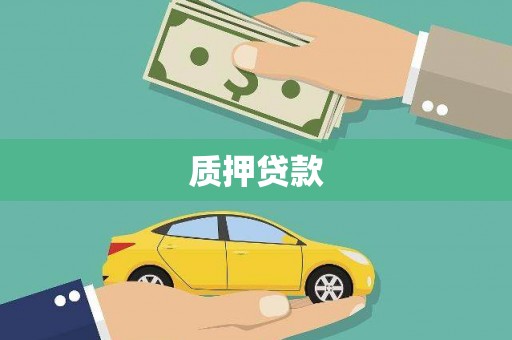 鼎城质押贷款