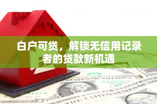 鼎城白户可贷，解锁无信用记录者的贷款新机遇