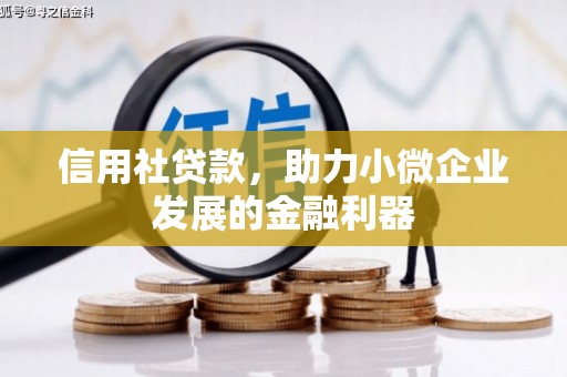 鼎城信用社贷款，助力小微企业发展的金融利器