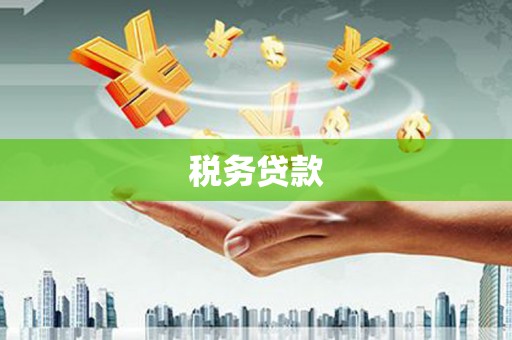 鼎城税务贷款