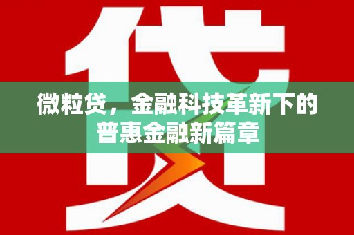 鼎城微粒贷，金融科技革新下的普惠金融新篇章