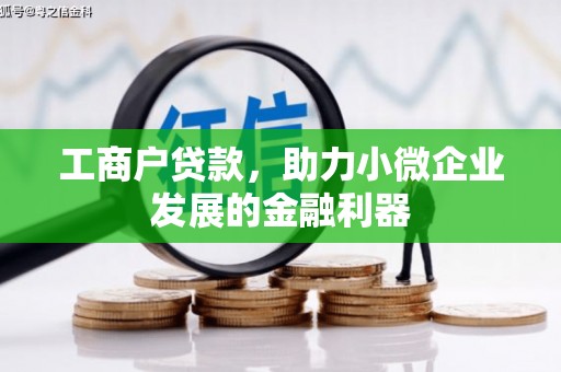 鼎城工商户贷款，助力小微企业发展的金融利器