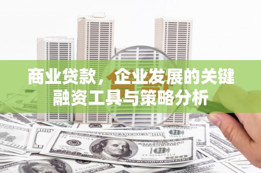 鼎城商业贷款，企业发展的关键融资工具与策略分析