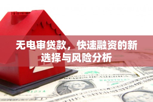 鼎城无电审贷款，快速融资的新选择与风险分析