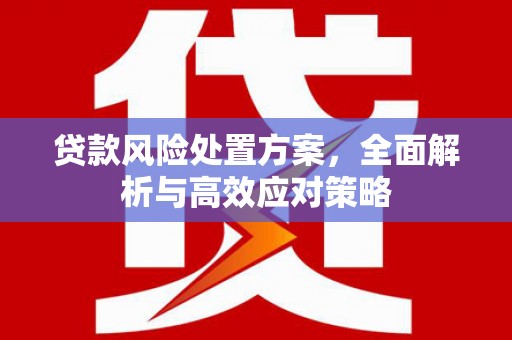 鼎城贷款风险处置方案，全面解析与高效应对策略
