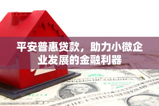 鼎城平安普惠贷款，助力小微企业发展的金融利器