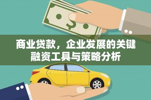 鼎城商业贷款，企业发展的关键融资工具与策略分析