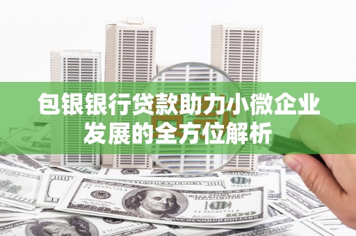 鼎城包银银行贷款助力小微企业发展的全方位解析