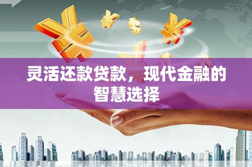 鼎城灵活还款贷款，现代金融的智慧选择