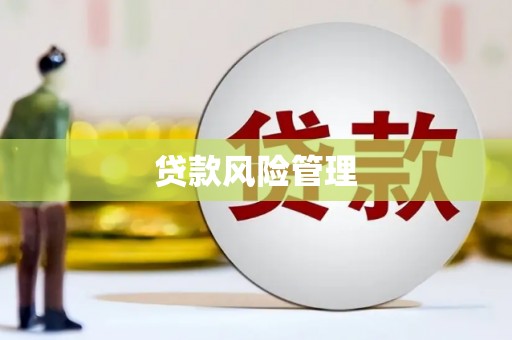 鼎城贷款风险管理