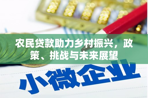 鼎城农民贷款助力乡村振兴，政策、挑战与未来展望