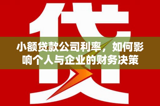 鼎城小额贷款公司利率，如何影响个人与企业的财务决策