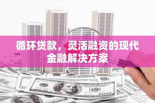 鼎城循环贷款，灵活融资的现代金融解决方案