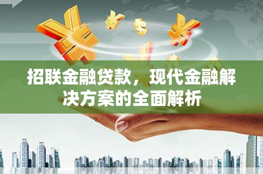 鼎城招联金融贷款，现代金融解决方案的全面解析
