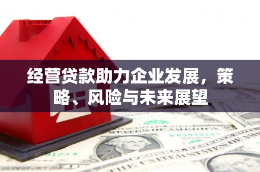 鼎城经营贷款助力企业发展，策略、风险与未来展望