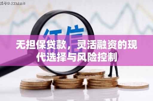 鼎城无担保贷款，灵活融资的现代选择与风险控制