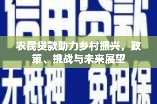 鼎城农民贷款助力乡村振兴，政策、挑战与未来展望