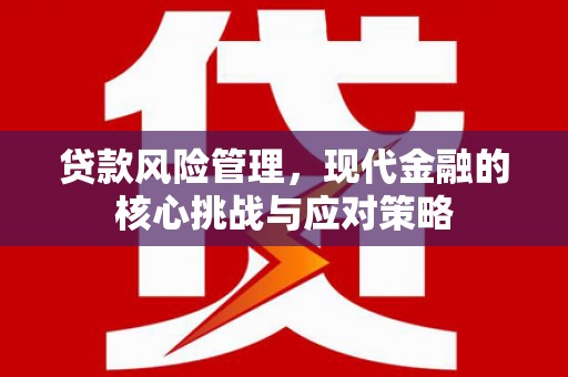 鼎城贷款风险管理，现代金融的核心挑战与应对策略
