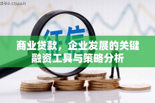 鼎城商业贷款，企业发展的关键融资工具与策略分析