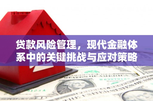 鼎城贷款风险管理，现代金融体系中的关键挑战与应对策略