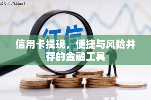 鼎城信用卡提现，便捷与风险并存的金融工具
