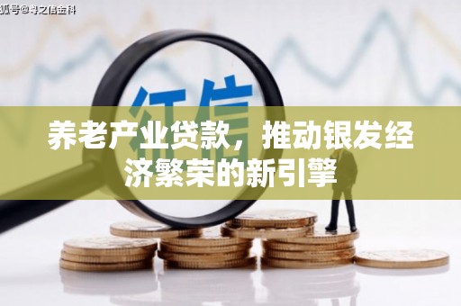 鼎城养老产业贷款，推动银发经济繁荣的新引擎