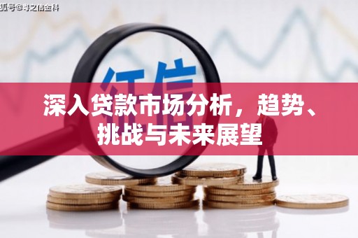 鼎城深入贷款市场分析，趋势、挑战与未来展望