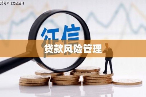 鼎城贷款风险管理