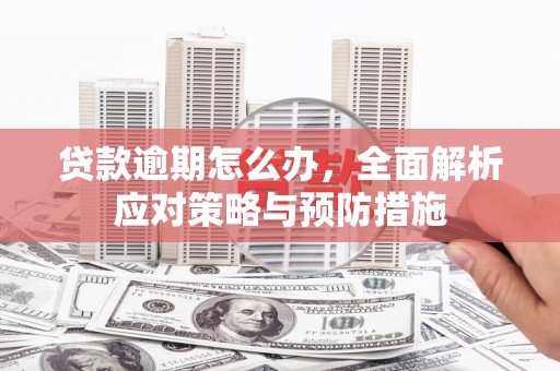 鼎城贷款逾期怎么办，全面解析应对策略与预防措施