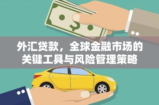 鼎城外汇贷款，全球金融市场的关键工具与风险管理策略