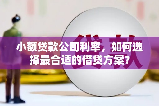 鼎城小额贷款公司利率，如何选择最合适的借贷方案？