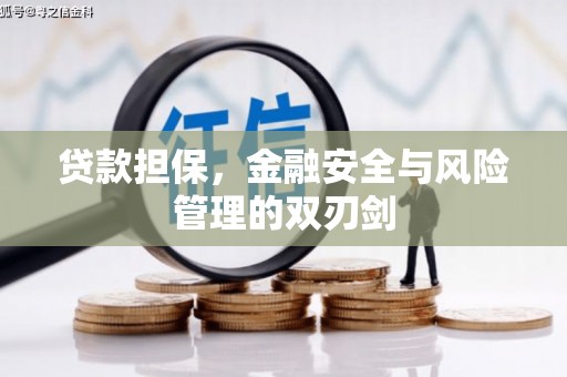 鼎城贷款担保，金融安全与风险管理的双刃剑