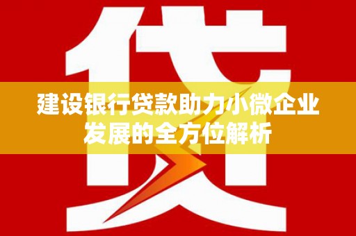 鼎城建设银行贷款助力小微企业发展的全方位解析