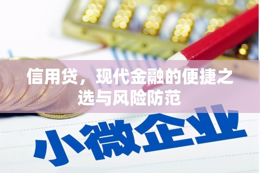鼎城信用贷，现代金融的便捷之选与风险防范