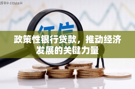 鼎城政策性银行贷款，推动经济发展的关键力量