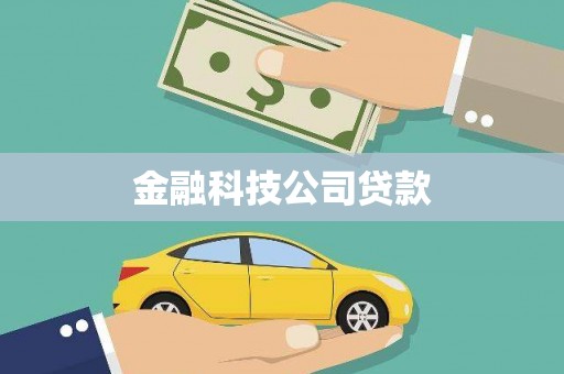 鼎城金融科技公司贷款