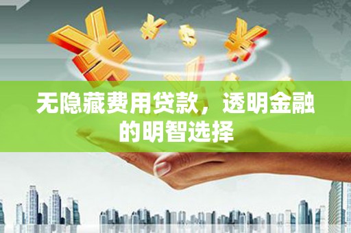 鼎城无隐藏费用贷款，透明金融的明智选择