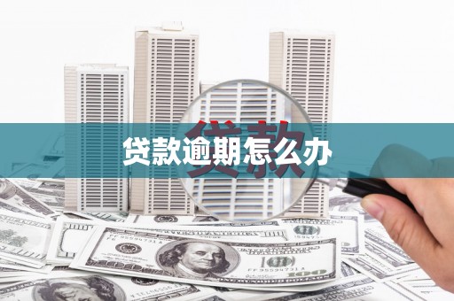 鼎城贷款逾期怎么办