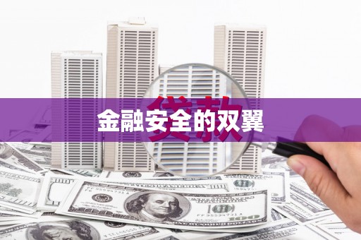 鼎城金融安全的双翼