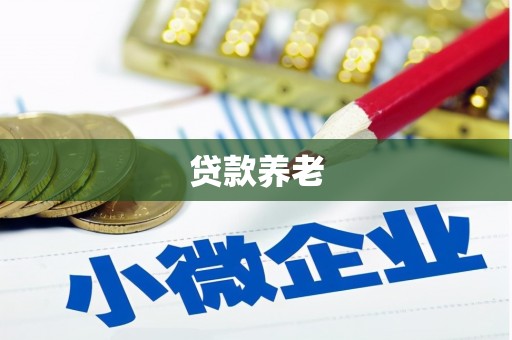鼎城贷款养老