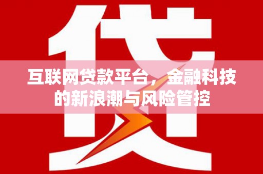 鼎城互联网贷款平台，金融科技的新浪潮与风险管控