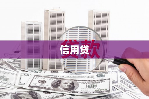 鼎城信用贷