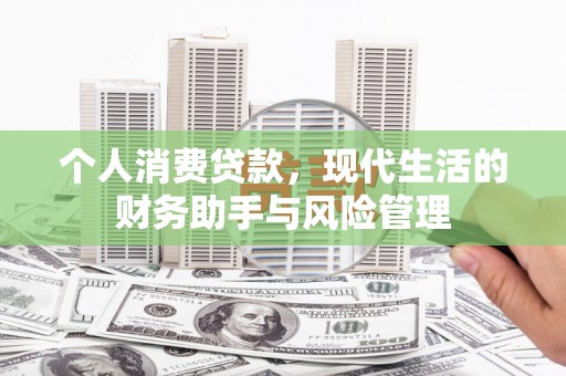 鼎城个人消费贷款，现代生活的财务助手与风险管理