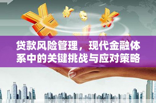 鼎城贷款风险管理，现代金融体系中的关键挑战与应对策略
