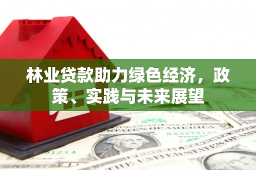 鼎城林业贷款助力绿色经济，政策、实践与未来展望