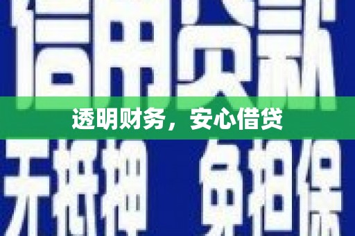 鼎城透明财务，安心借贷