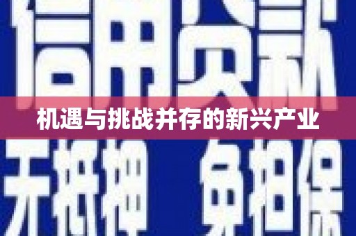 鼎城机遇与挑战并存的新兴产业