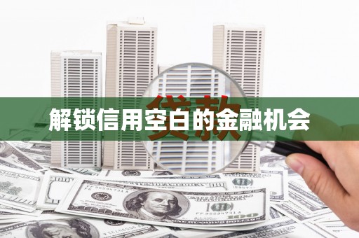 鼎城解锁信用空白的金融机会